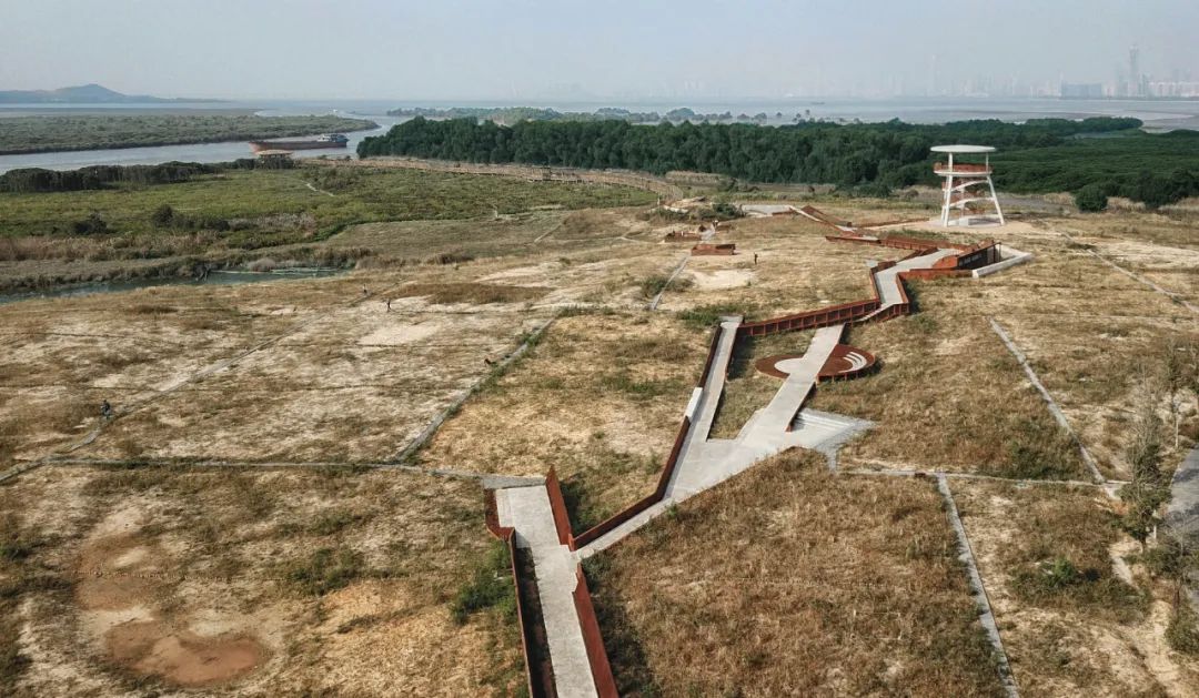 时光，植物、文化和大地