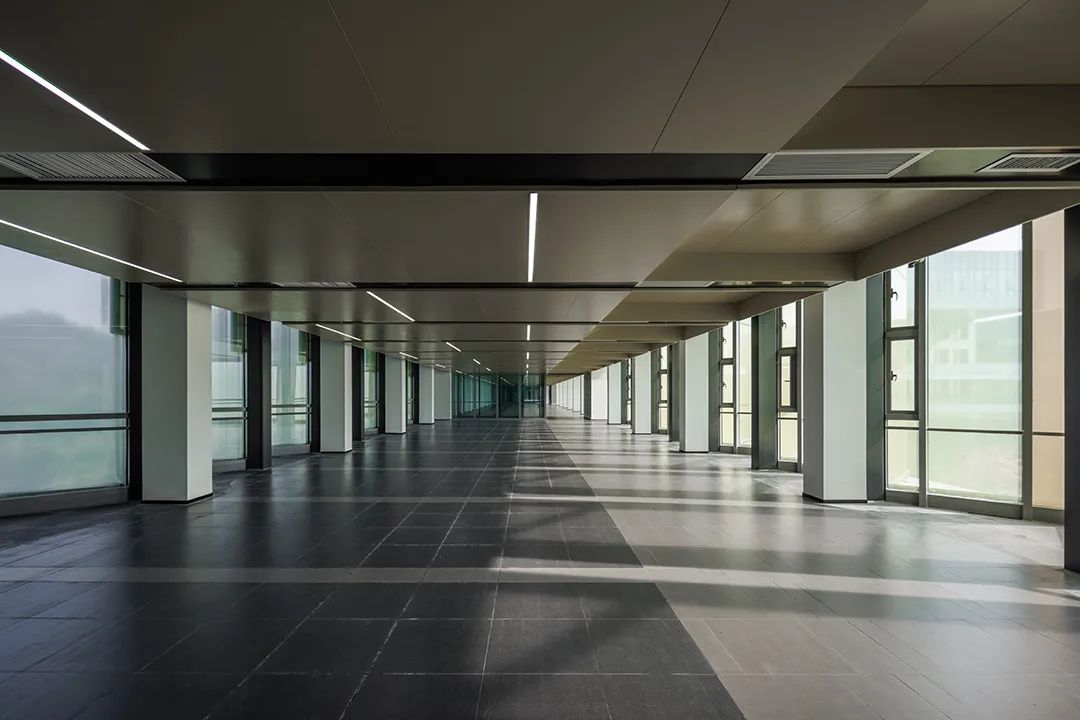 香港中文大学（深圳）二期丨山水林间，在地生长