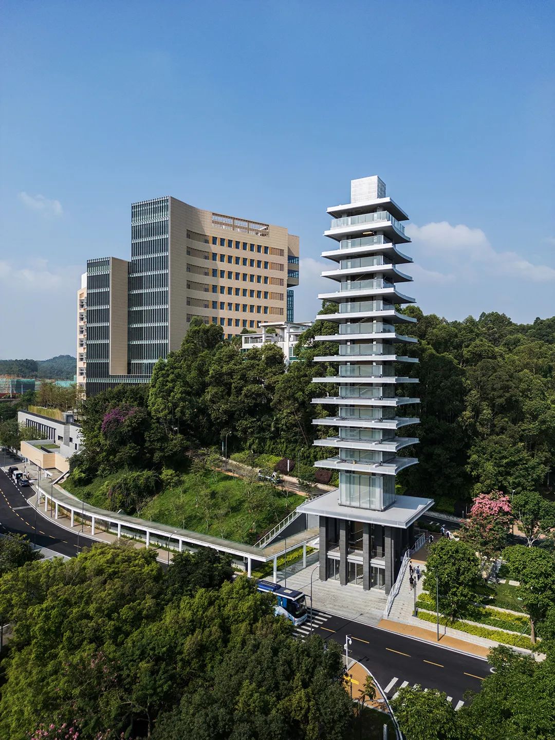 香港中文大学（深圳）二期丨山水林间，在地生长