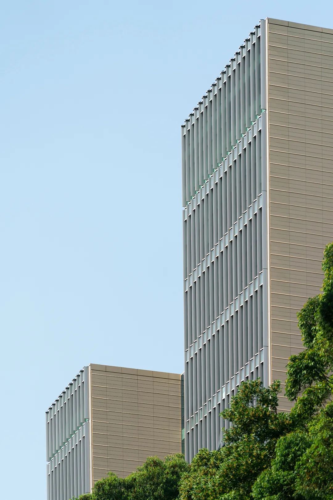 香港中文大学（深圳）二期丨山水林间，在地生长