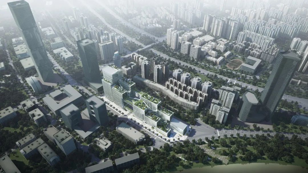 s+s 资讯 | 受邀参加深港科创2024年开发建设高质量发展大会 