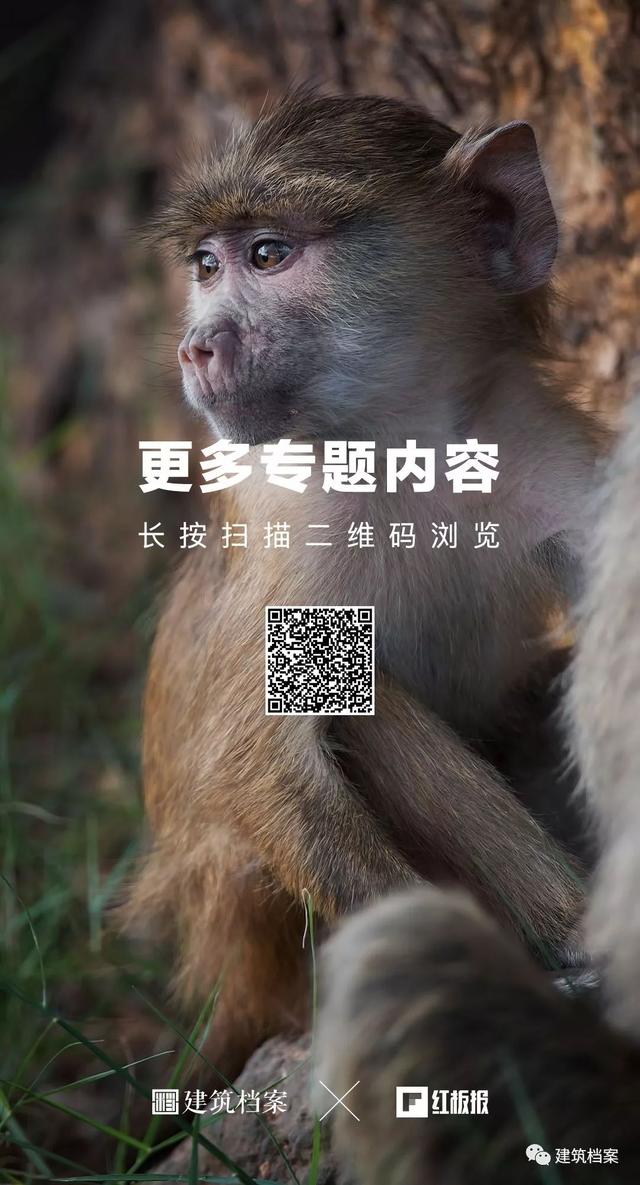 自然生命，红板报，建筑师
