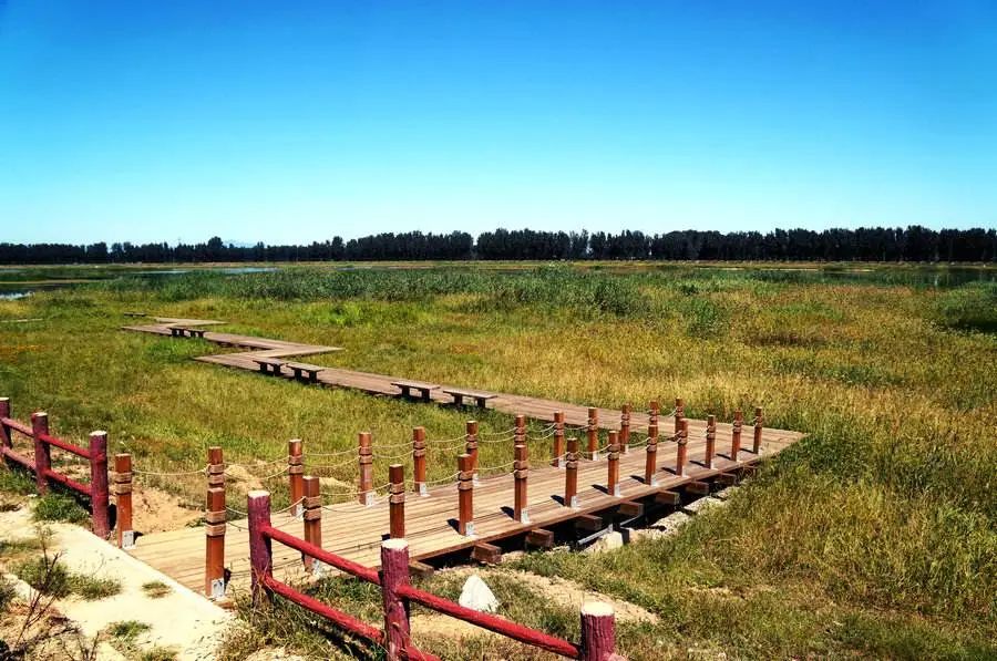 LA专集 | 万木葱翠,十里森境——森林公园规划设计探索