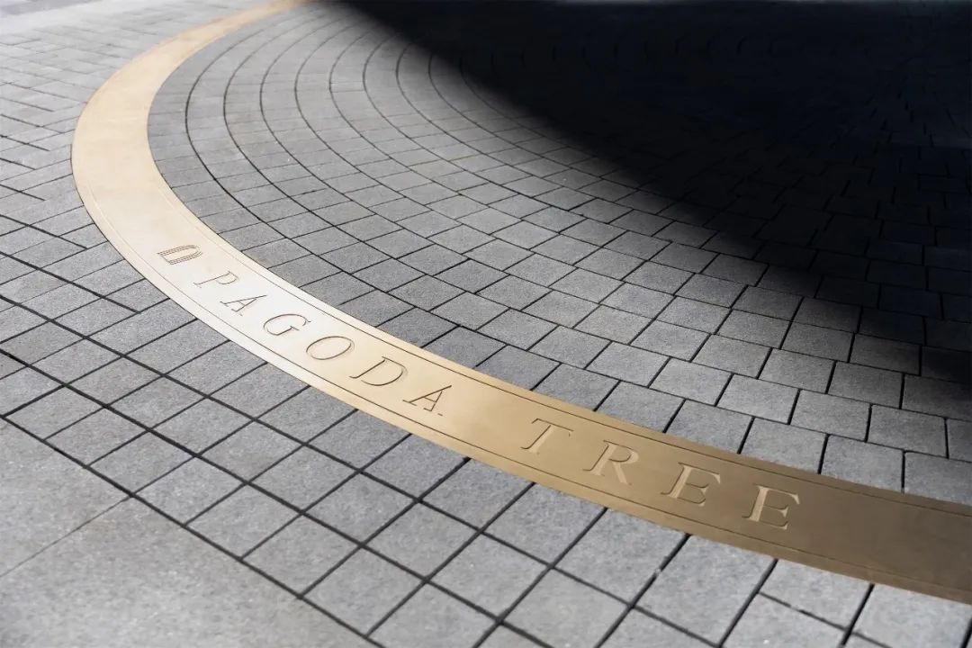 综合社区底盘是一种「关系联结」的新方式 | 槐望观邸【致逸聊斋】