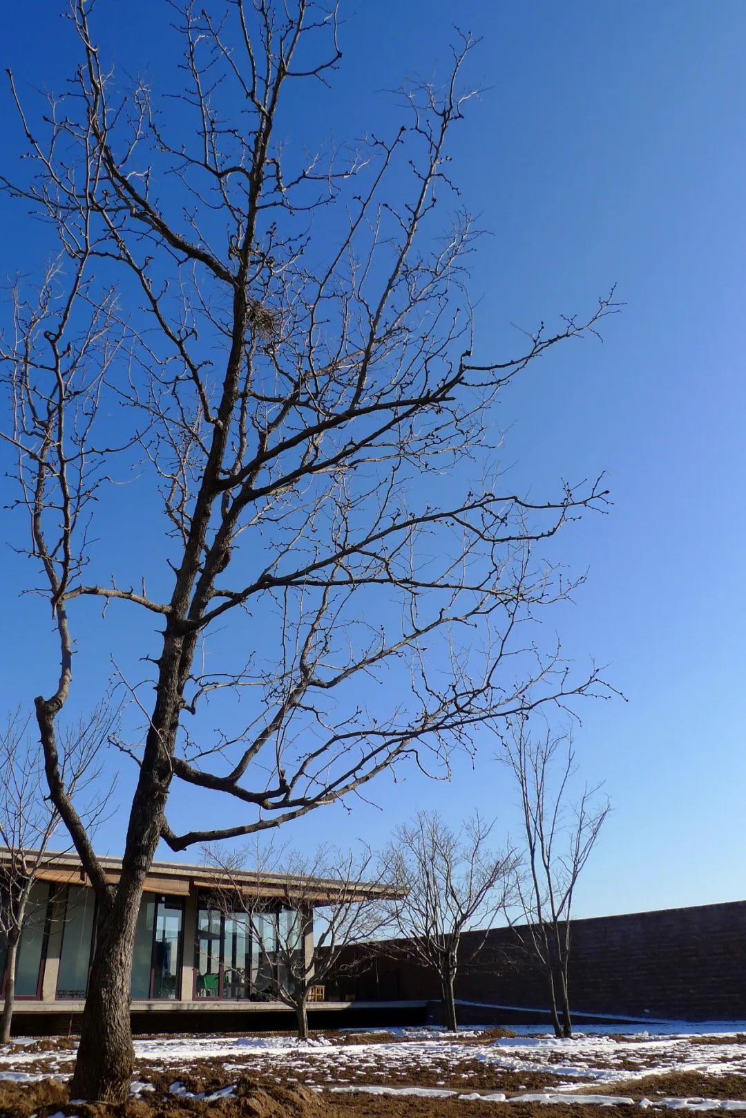 【建言丨彭乐乐】在自然中合一设计与生活，让生命呈现原有的自然状态