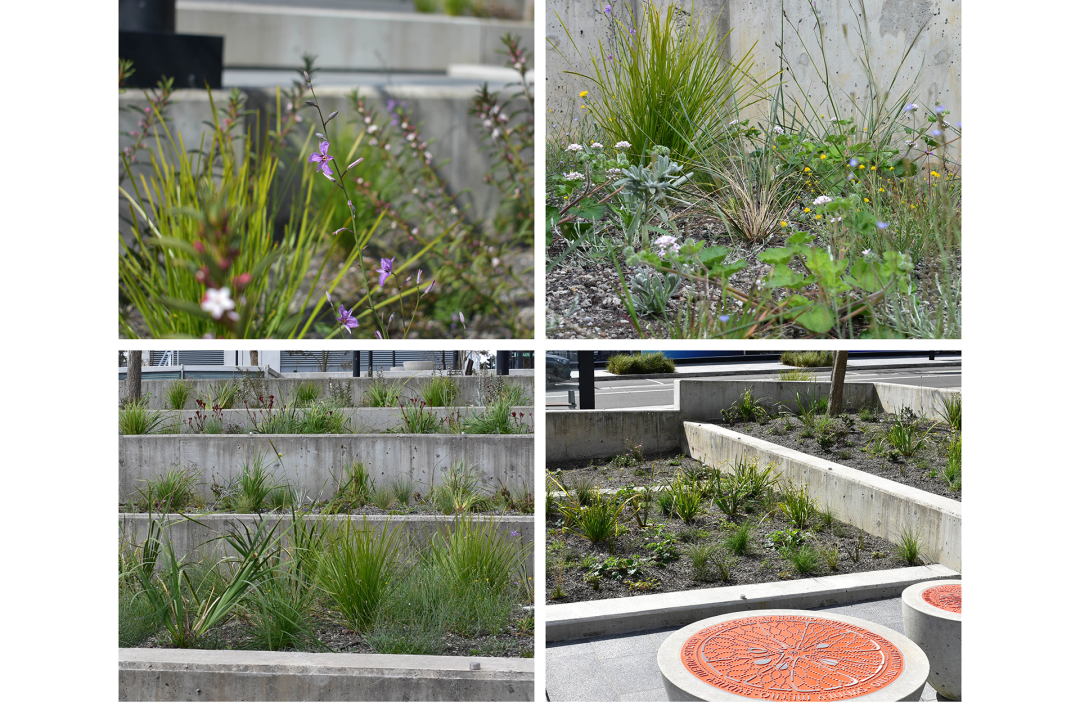 再生型城市交通：为气候变化中的城市设计基础设施