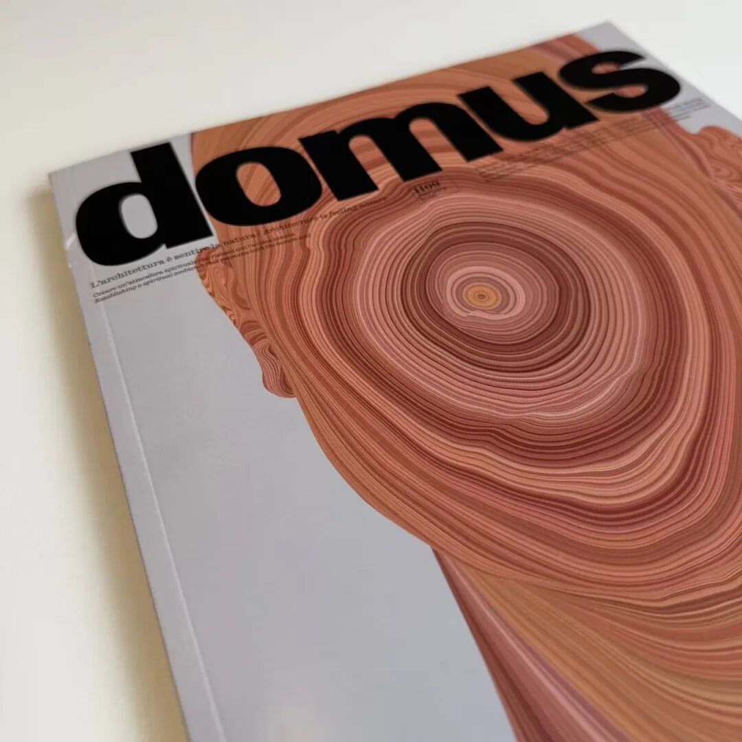 马岩松主编的domus 二月刊，感知自然