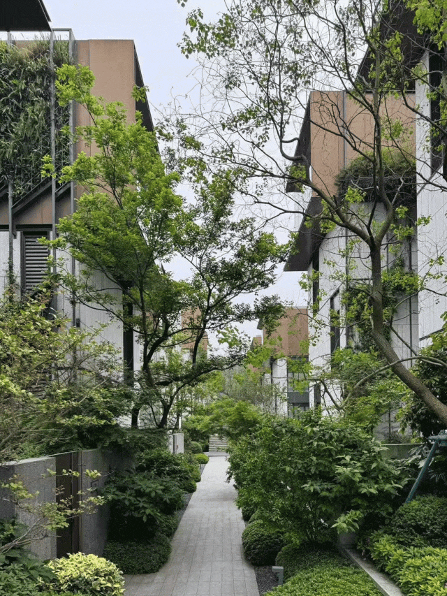 line+在杭州西溪湿地打造商住复合型独栋园区「星月·西溪印」