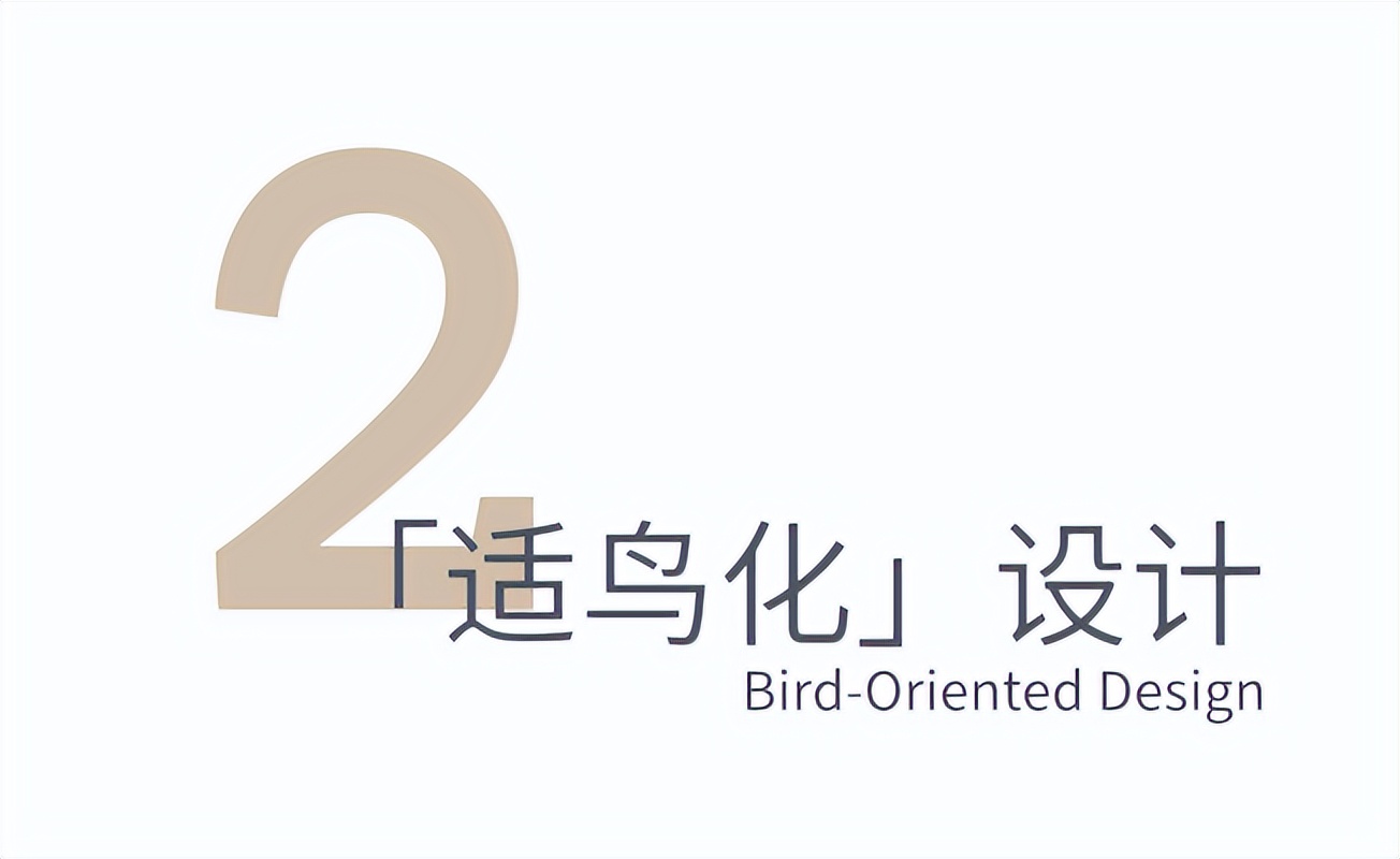 goa作品 | 大地艺术剧场，为飞鸟和人建造