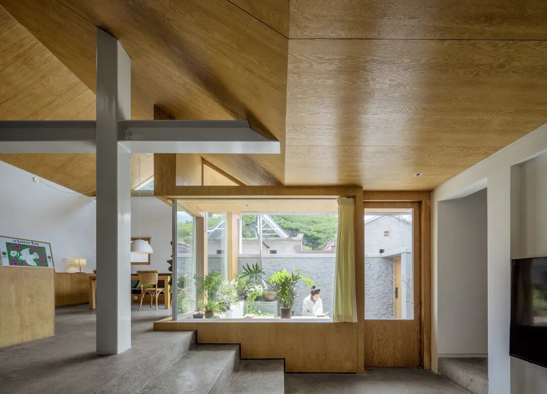 成直:我的社会价值“不参与”