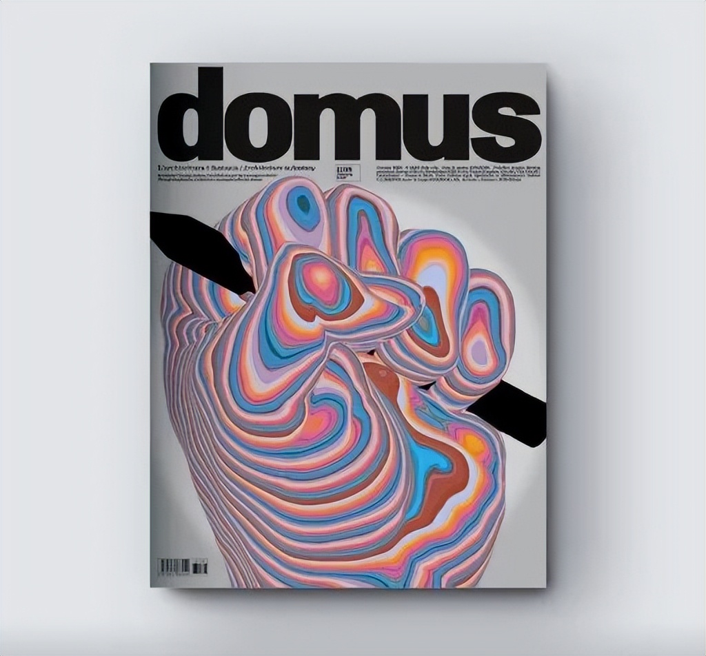 第一期马岩松做主编的domus，我们讨论了什么?