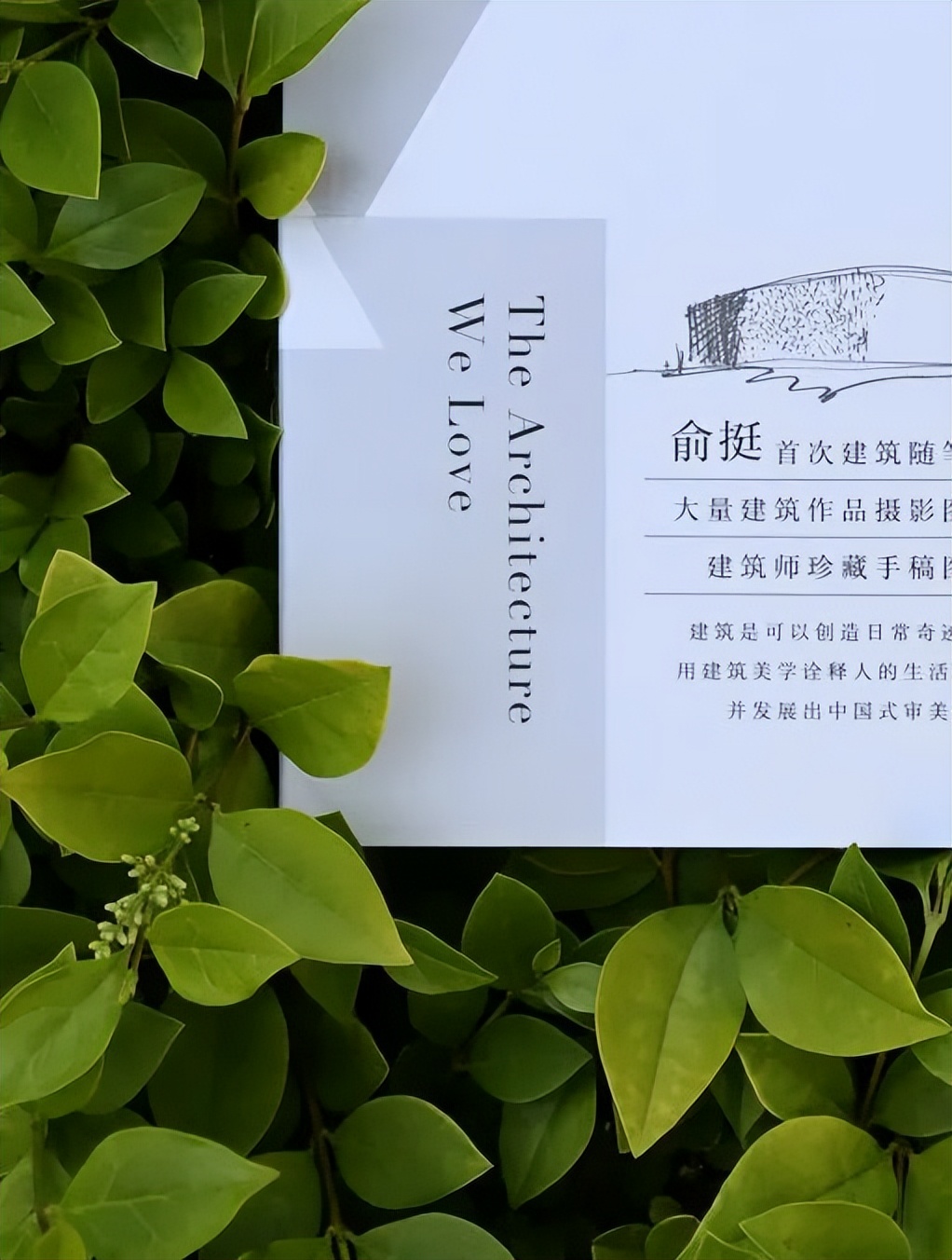 建筑能靠想象力 创造一个全新的世界
