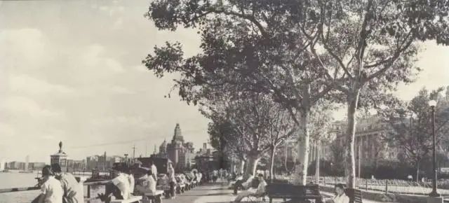 《二十城记》上海对谈 | 金宇澄x马岩松: 摒弃“折中主义”, 才有可能走出自己的路