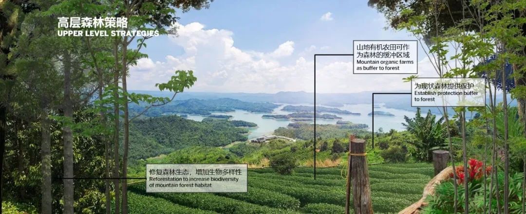 SOM 开放空间设计系列(二):何时?巨变下的多尺度开放空间实践探索