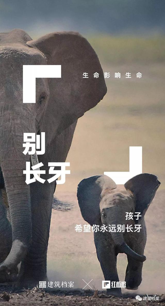 自然生命，红板报，建筑师