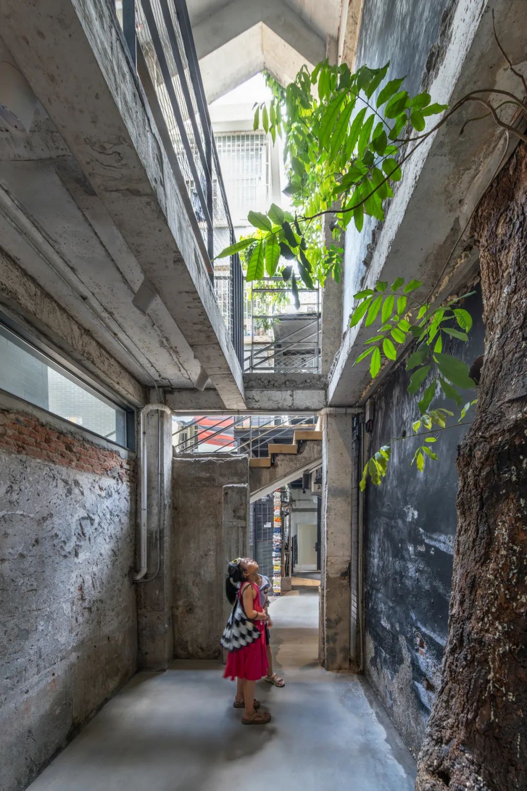 韩晶：尊重&ldquo;野生智慧&rdquo;，向城中村学习