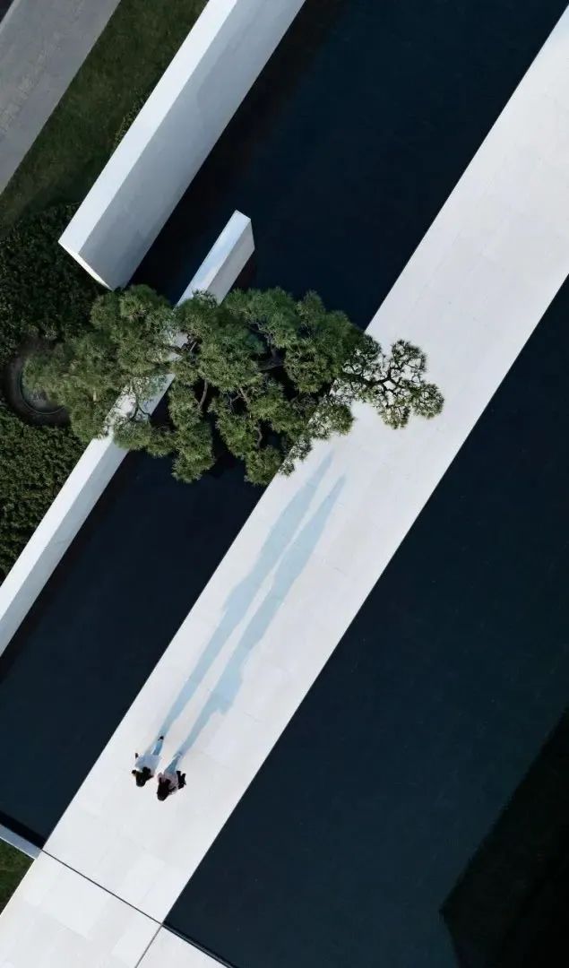 LA理事风采 | 顺德华润置地广场代建公园