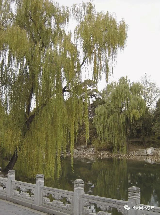 私家园林，北京，风景园林，传统，江南园林