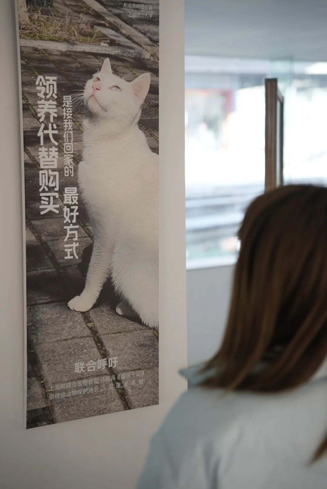 三文鱼飘到景德镇：马陈兵瓷都个展顺利开幕