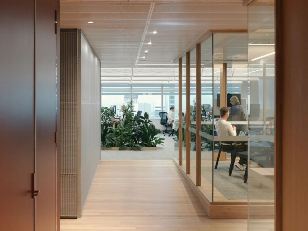 可再生设计赋能未来 &mdash;&mdash; 奥雅纳布里斯班新办公空间引领循环与健康的办公典范