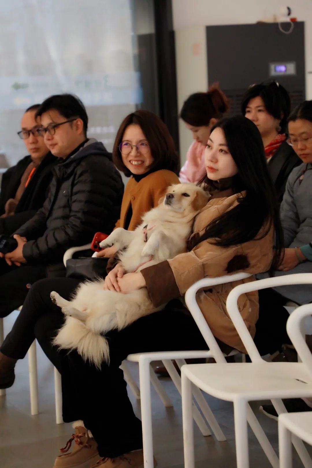 三文鱼飘到景德镇：马陈兵瓷都个展顺利开幕