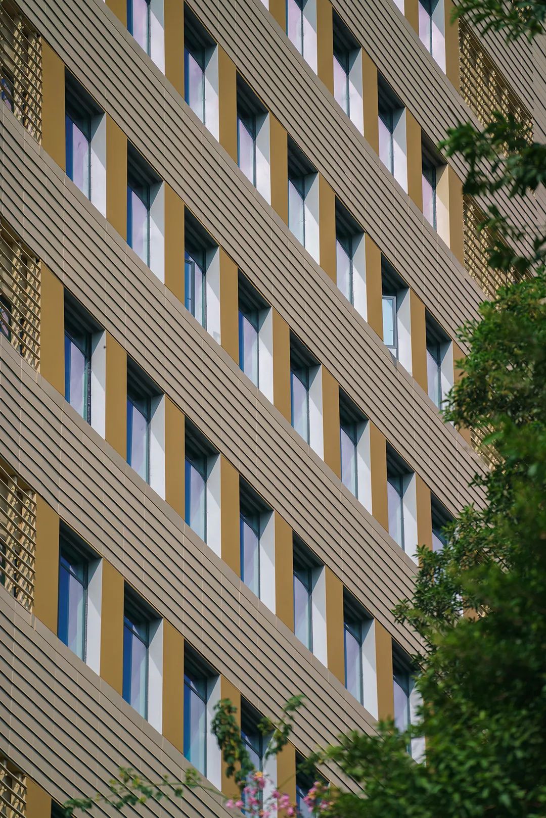 香港中文大学（深圳）二期丨山水林间，在地生长