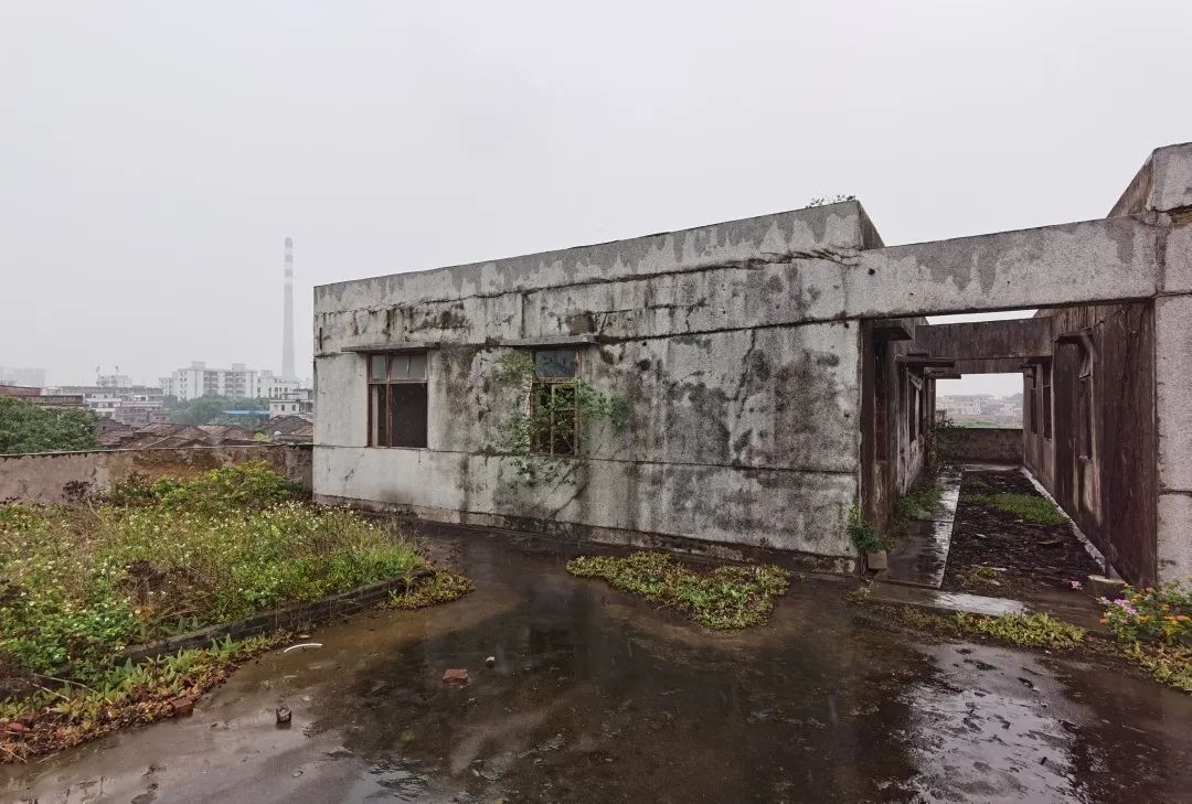 时间的灯塔 | 马岩松&ldquo;广东南海大地艺术节&rdquo;作品