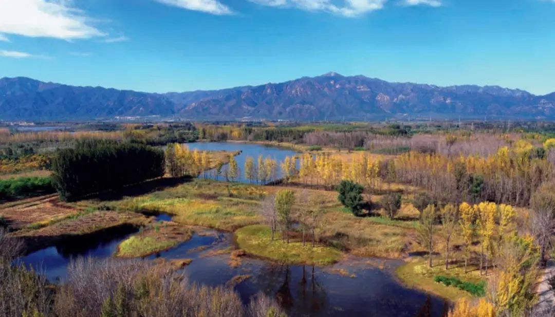 LA专集 | 万木葱翠,十里森境——森林公园规划设计探索