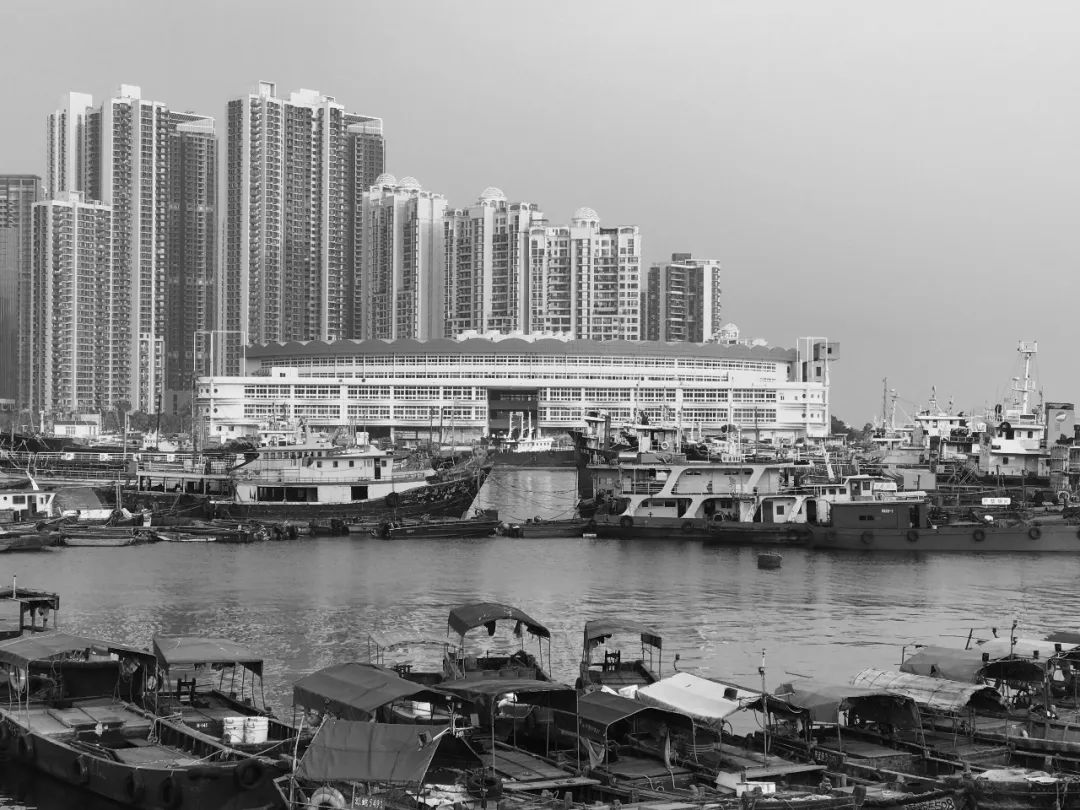 gmp新闻 | 深圳蛇口渔人码头城市更新综合体结构封顶