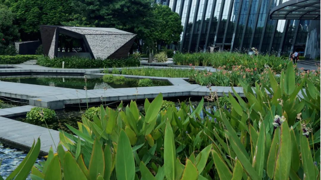 时光，植物、文化和大地