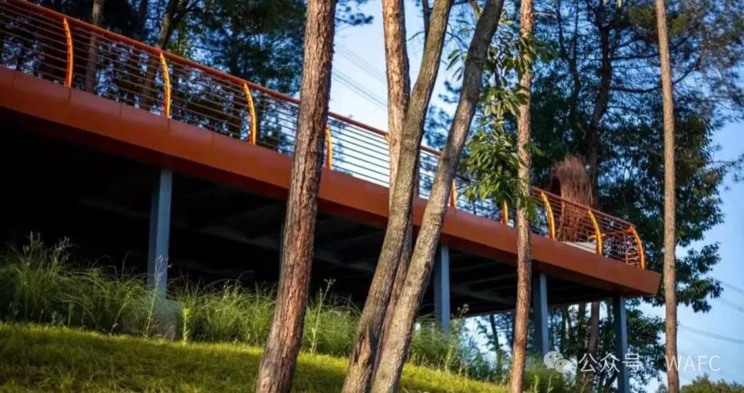 历届“世界建筑节 中国”大奖作品回顾(一)