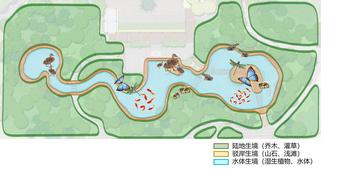 小湿地大生态——北京小微湿地保护修复示范建设项目实践 | LA理事风采