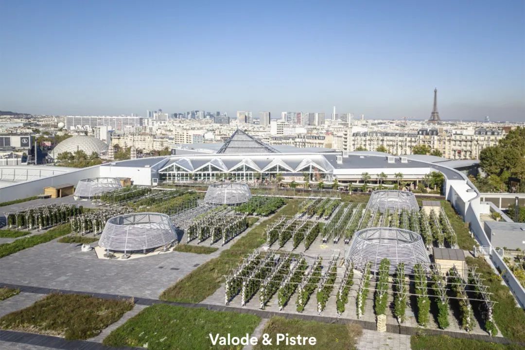 工务署大讲堂 | 让·皮斯特：木建筑和生态技术应用