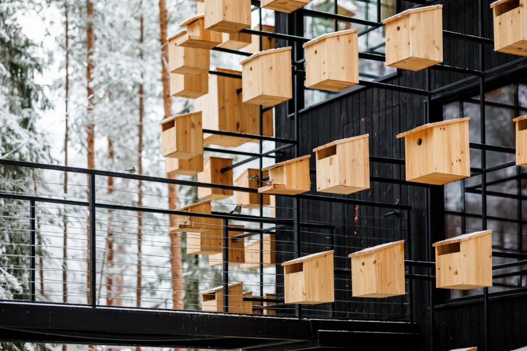 &ldquo;与鸟共栖&rdquo;：Biosphere at Treehotel 入选全球最具奇幻想象力的度假住宿之一