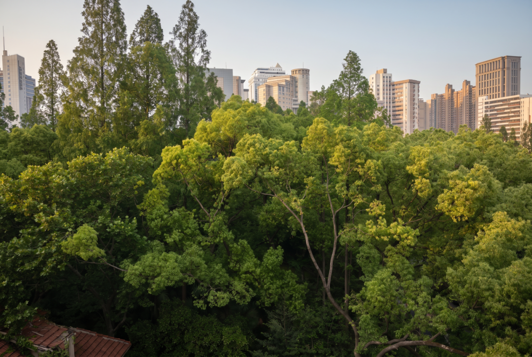 【建言丨对话余泊】台前幕后,建筑师的角色张力