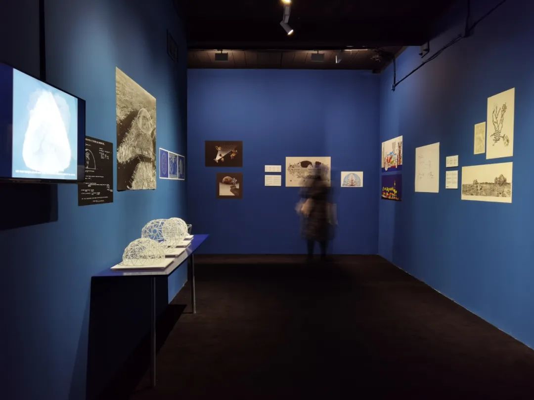 蓝图北京 | 你有一次向全球建筑师提问的机会