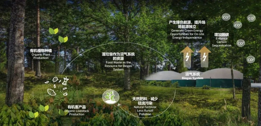 SOM 开放空间设计系列(二):何时?巨变下的多尺度开放空间实践探索