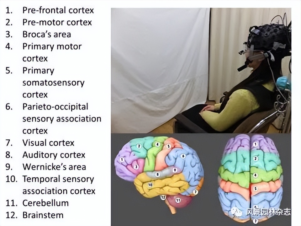 精彩压轴 | 日本景观如何走向自然与健康
