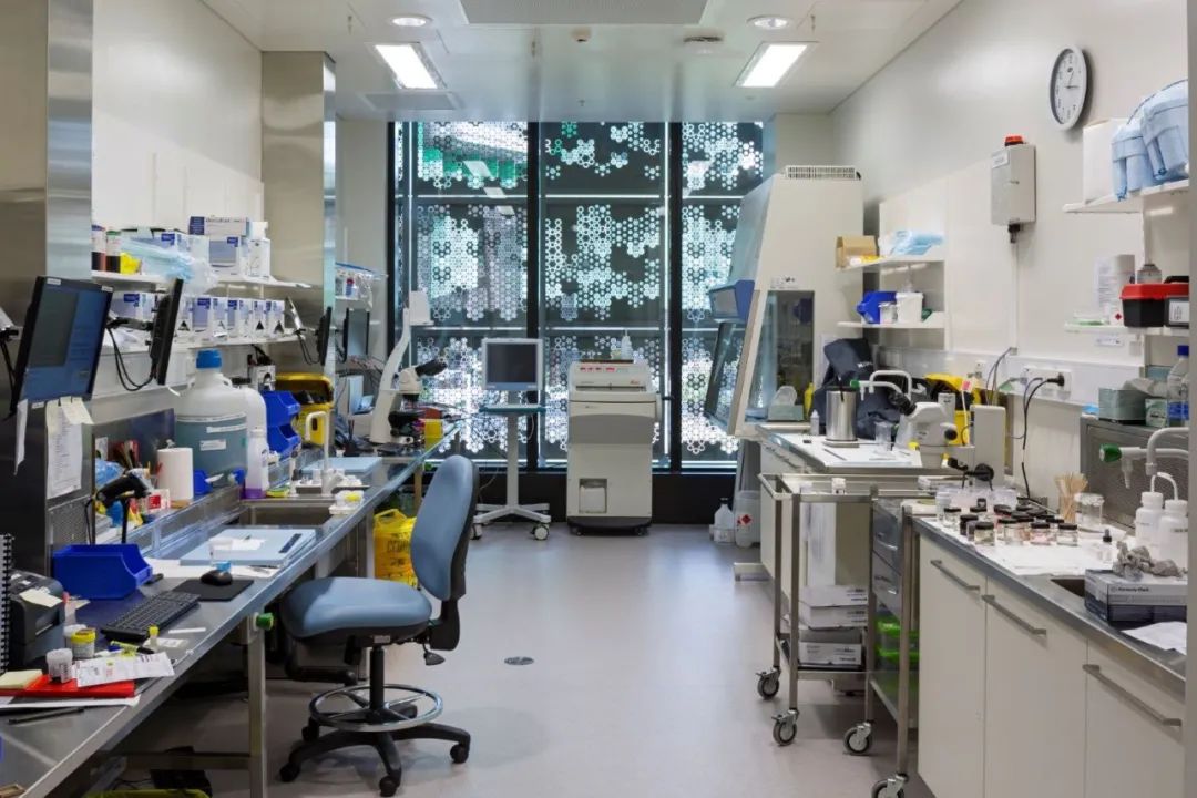 持续进化的研发设施&thinsp;&mdash;&thinsp;未来展望