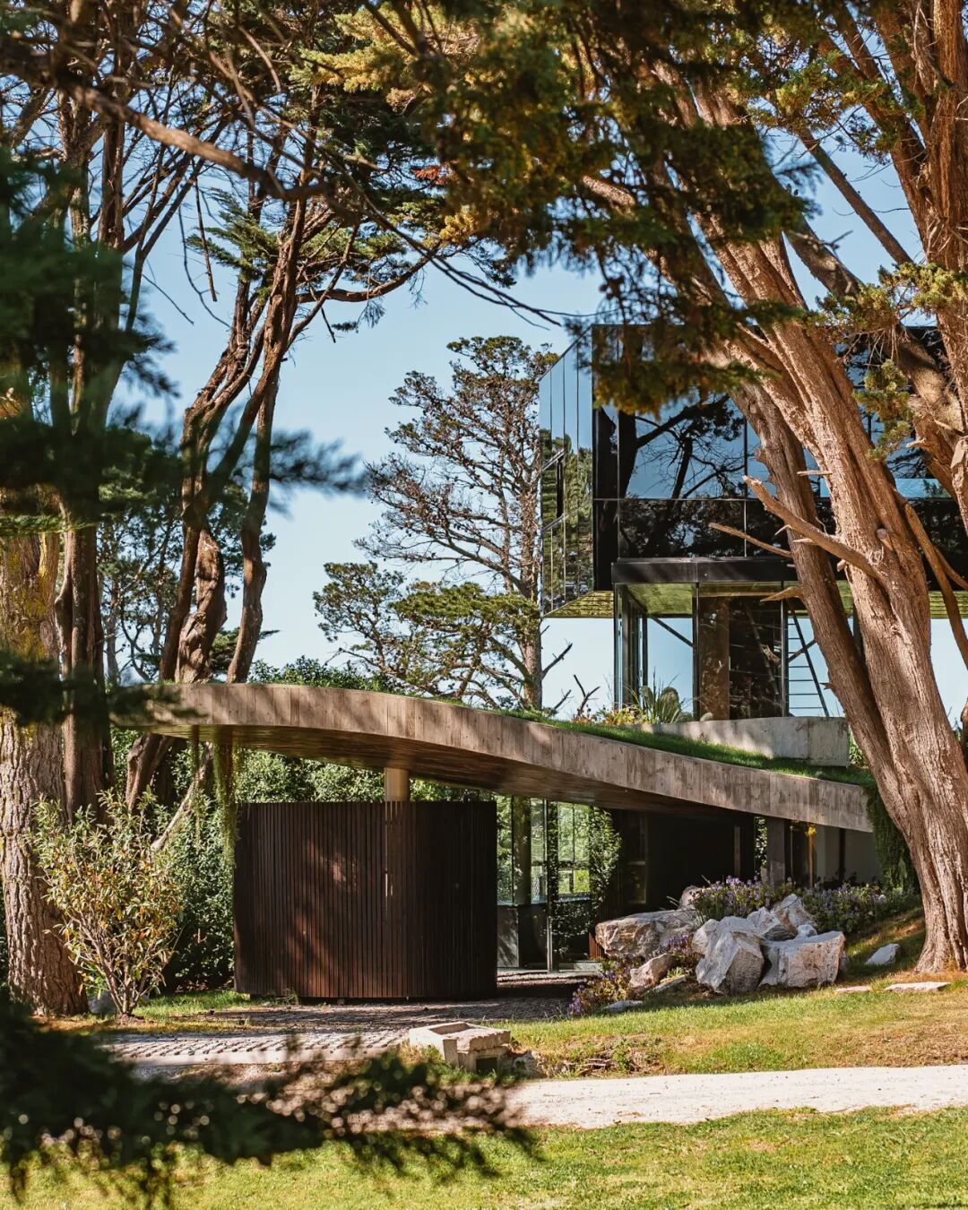 马岩松主编的domus 二月刊，感知自然