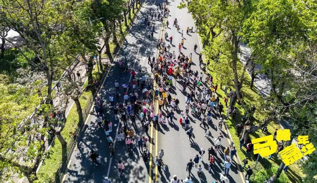 11.29马路上开派对，只在蛇口发生