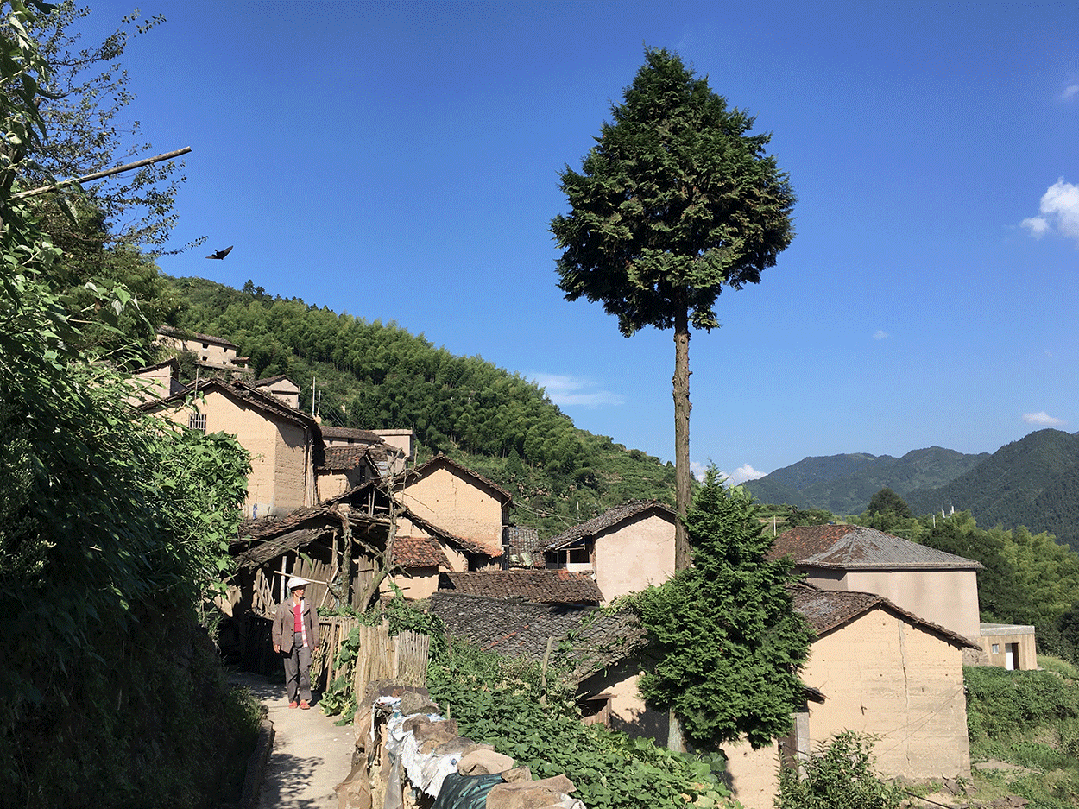 line+WORK | 崖居古村的新生：松阳·飞蔦集二期