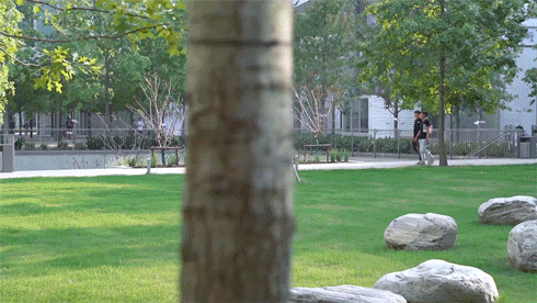 goa创造者 | 2023暑期实习营招募开启