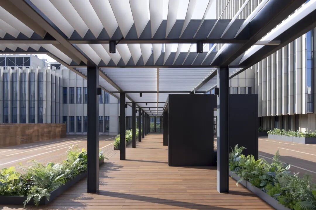 【建言丨对话孙伟】&ldquo;知识建筑&rdquo;，在当下回应未来