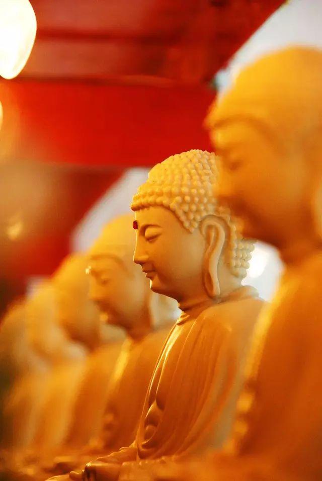 宗教文化,沈帆,建筑师